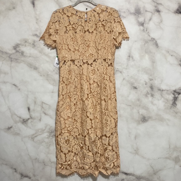 NSR Beige Lace Midi Dress - Picture 9 of 13
